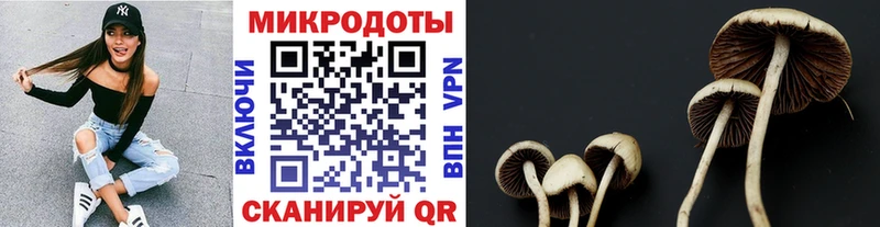 Галлюциногенные грибы мицелий  купить наркотики сайты  Нестеров 